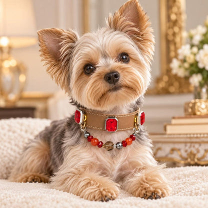 PAW CROWN™ Pet Crystal Collar