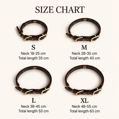 PAW CROWN™ Pet Crystal Collar
